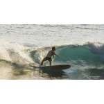 Nic Jones surfing a classic malibu longboard
