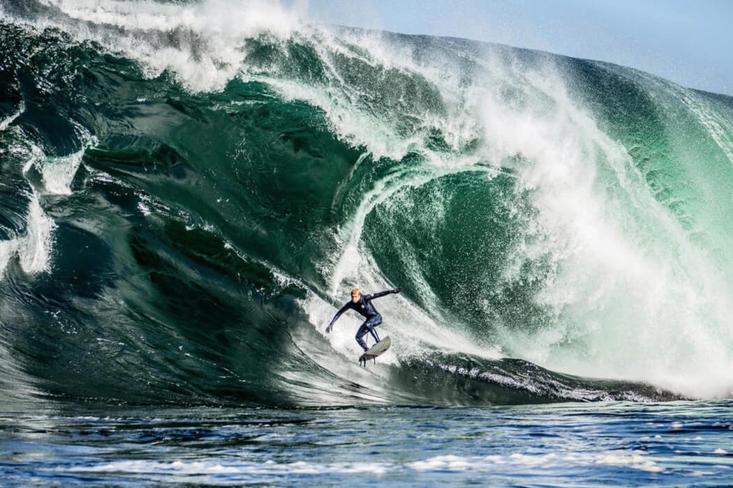 DHD SURFBOARDS FOR SALE Free Shipping & Best Price Guarantees