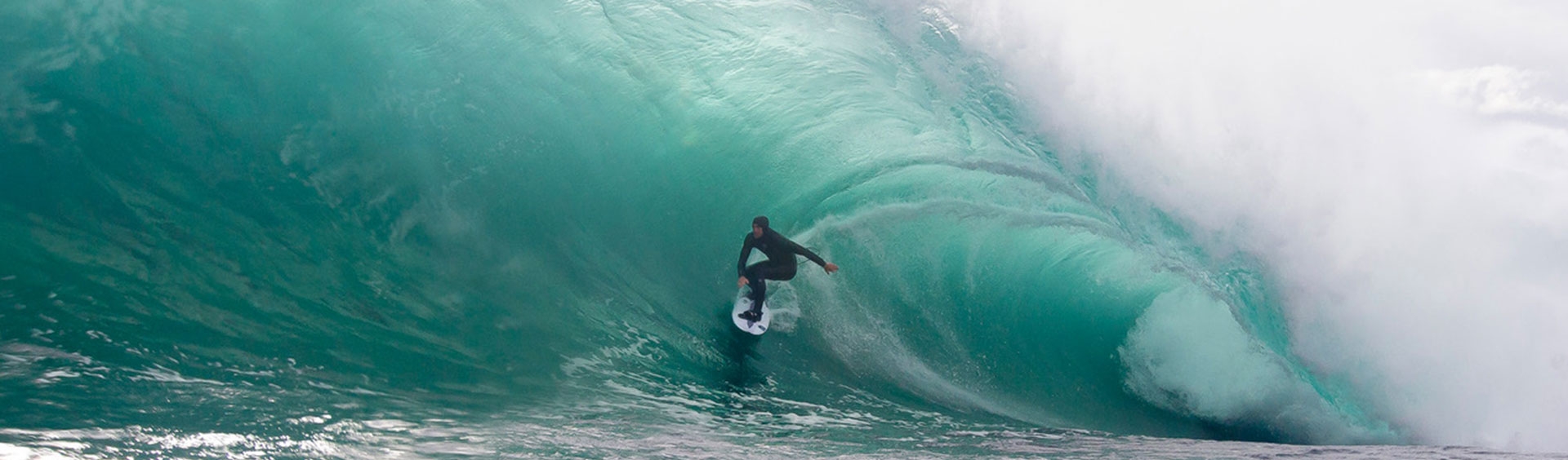 DMS SURFBOARDS FOR SALE Free Shipping & Best Price Guarantees