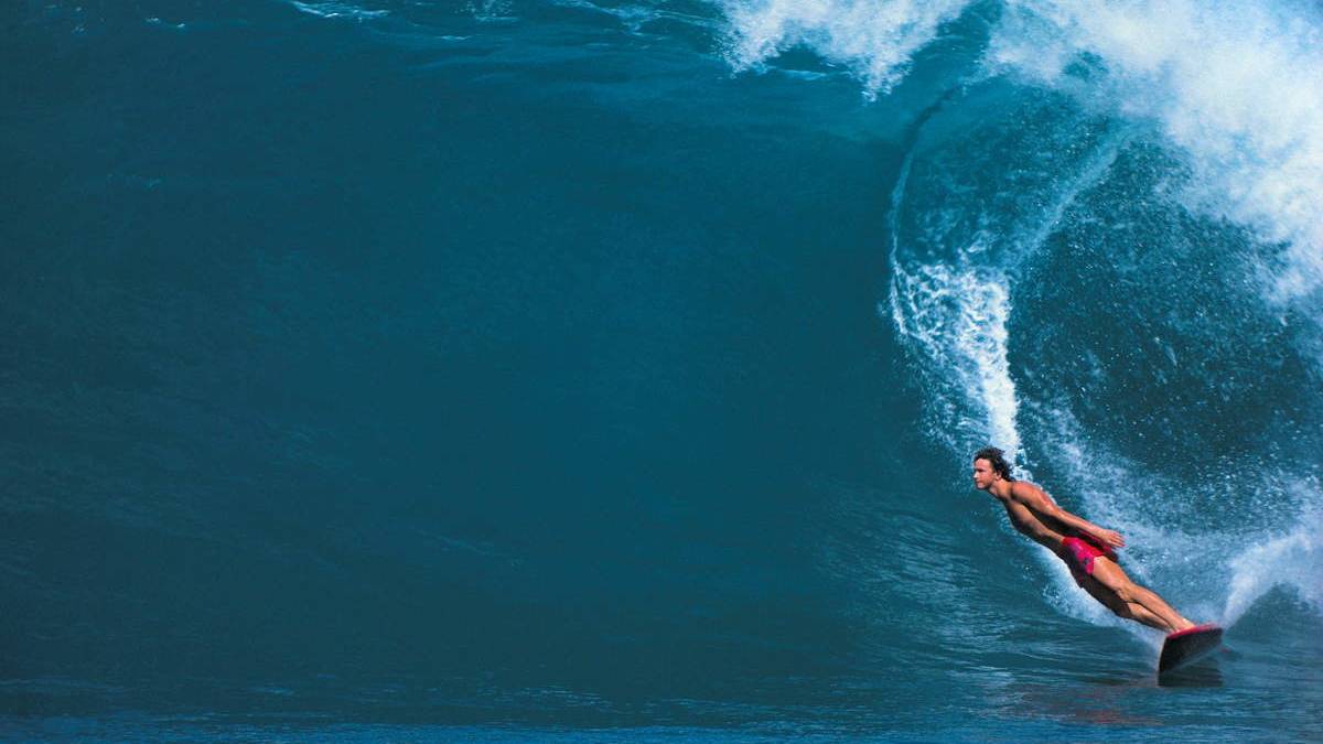 Twin Fin Surfboard Boardcave USA